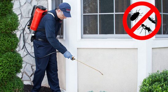 Sapanca Karınca İlaçlama böcek ilaçlama ve haşere kontrolü — ilaclama-tr.com
